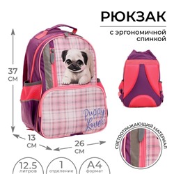 Рюкзак школьный, 37 х 26 х 13 см, эргономичная спинка, Calligrata ОРТ "Мопсик"