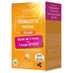 Biocyte Terracotta Cocktail Solaire Lot de 3 x 30 Comprim?s