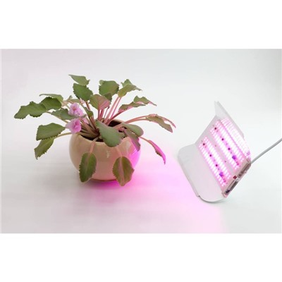 Светодиодный светильник для растений GLANZEN RPD-0001-60-grow