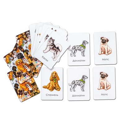 Набор карточек «Породы собак»