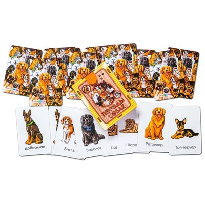 Набор карточек «Породы собак»