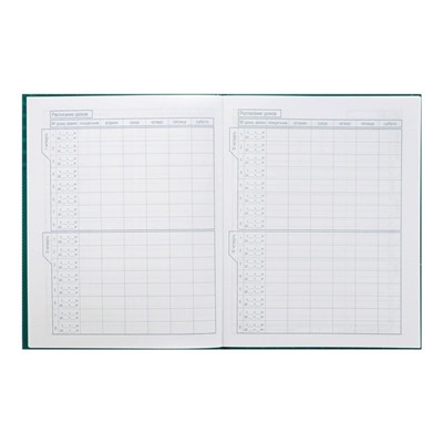 Дневник универсальный для 1-11 класса "Королевский енот", твердая обложка, металлик, выборочный лак, 40 листов