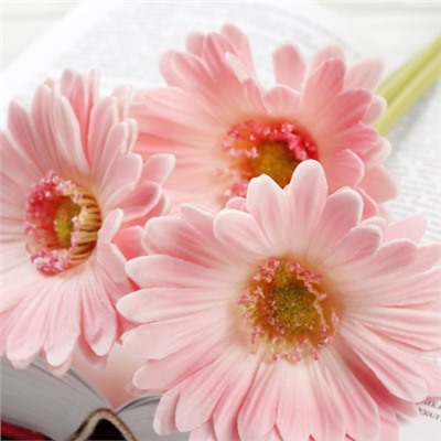Цветок искусственный Гербера 43 см розовый / 1501 /уп 56/560/ латэкс