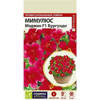 Мимулюс Мэджик Бургунди