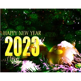 Садовод Новый год  2023