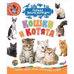 Уценка. Кошки и котята (Первая энциклопедия)