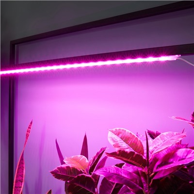 Светильник для растений светодиодный линейный, 900 мм Uniel, 14 Вт, LED, IP65, цвет прозрачный