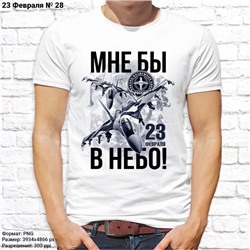 Мужская футболка "Мне бы в небо", №28