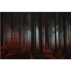 Фотобаннер, 250 × 150 см, с фотопечатью, люверсы шаг 1 м, «Красный лес»