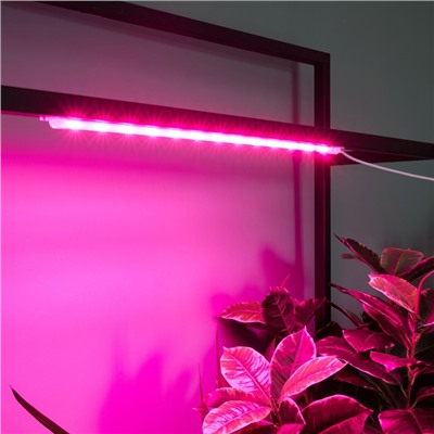 Светильник для растений светодиодный линейный, 540 мм Uniel, 10 Вт, LED, IP65, цвет прозрачный