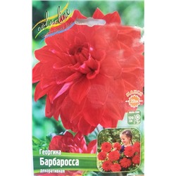 Семена луковичные цветы Color Line Георгина Барбаросса, макси декор