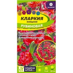 Кларкия Рубиновая изящная