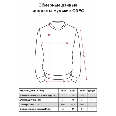 Свитшот мужской GREG G121-OZ03-50 (т.серый)