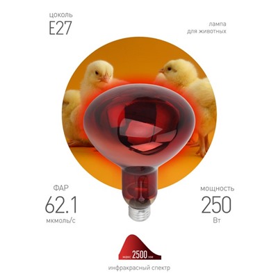 Инфракрасная лампа ЭРА ИКЗК 220-250 R127 кратность 1 шт Е27 / E27 для обогрева животных и освещения
