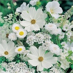 АЖ.1195 "Белые полевые цветы"