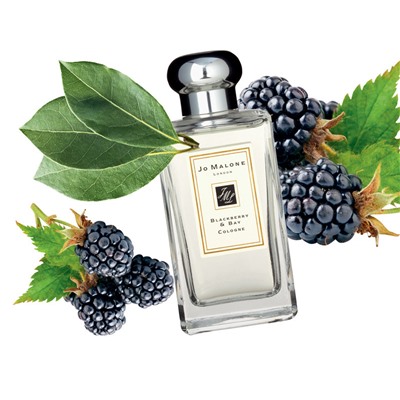 Женские духи   J. M. Blackberry & Bay  for women 100 ml