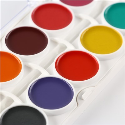 Акварель ArtFox STUDY, 24 цвета, в пластиковой коробке, без кисти.