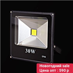 01230-0.2-001KJ 30W прожектор светодиодный