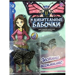 Коллекция журналов "Удивительные бабочки". Настоящие бабочки со всего мира.