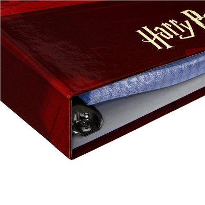 Тетрадь на 4-х кольцах А5, 120 листов клетка "Гарри Поттер", твердая обложка, глянцевая ламинация, блок 60г/м2
