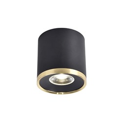 Потолочный светильник Prakash 3086-2C. ТМ Favourite