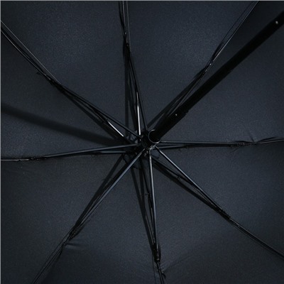 Зонт механический, 6 спиц, цвет чёрный.