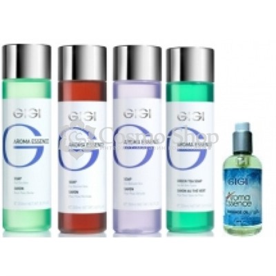 GiGi Aroma Essence Skin Soap For Normal Skin/ Мыло жидкое для нормальной кожи 250мл