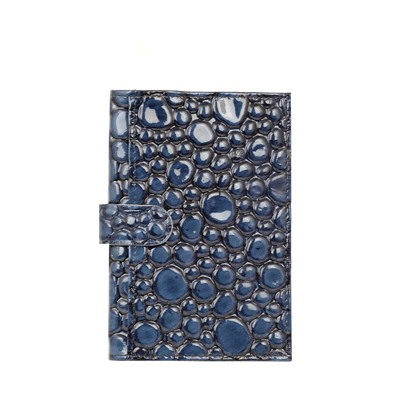 Обложка для паспорта ора1200 сасси синий