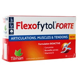 Tilman Flexofytol Forte 28 Comprim?s