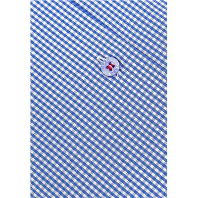 Сорочка мужская длинный рукав GREG 124/131/1427/Z/1p_GB