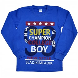 Толстовка детская "Super champion boy" (blue)
