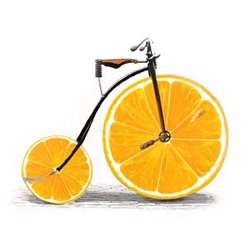 Декобокс. Мандариновый велосипед 33х33 см