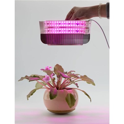 Светодиодный светильник для растений GLANZEN RPD-0001-60-grow