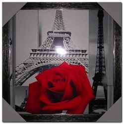 Глянцевый постер Роза на фоне Парижа 40*40 см