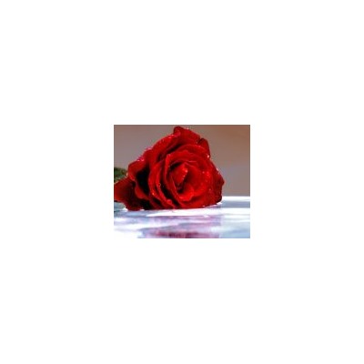 Цветочная вода Розы (органик), 50 мл