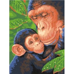 DMS-73-91470 Шимпанзе с детёнышем