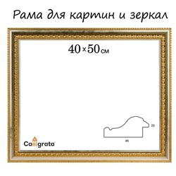 Рама для картин (зеркал) 40 х 50 х 4,5 см, пластиковая, Charlotta, золотая