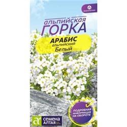 Арабис Белый Альпийский