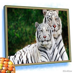 Алмазная мозаика на подрамнике 40x50 Белые тигры / YSG4523 /уп 30/полное заполнение