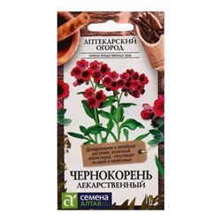 Семена цветов Чернокорень "Лекарственный", 0,1 г