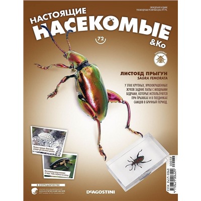 Журнал №72 "Настоящие насекомые" С ВЛОЖЕНИЕМ! Листоед-прыгун