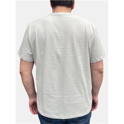 Фуфайка (футболка) мужская 7222-17008/2; ХБ106 пепел