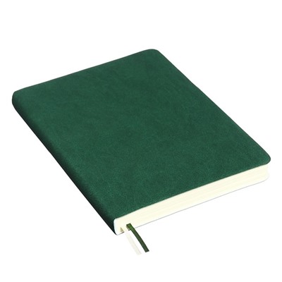 Ежедневник датированный 2024 A5 176 листов, deVENTE.Nobile, мягкая обложка из искусственной кожи, ляссе, кремовый блок 70 г/м2, зелёный
