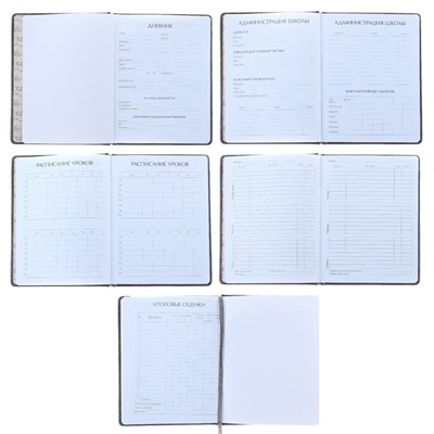 Дневник универсальный для 1-11 классов, 48 листов SIDNEY NEBRASKA, твердая обложка, искусственная кожа, термотиснение, ляссе, блок 70 г/м2, коричневый