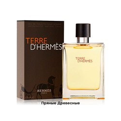 Hermes Terre Hermes EDT 100мл