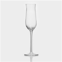 Бокал стеклянный для шампанского Magistro «Тира», 140 мл, 22,6×4,3 см