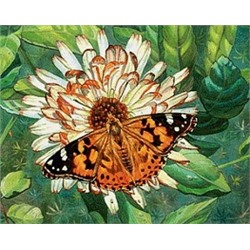 АЖ.1205 "Бабочка на цветке"