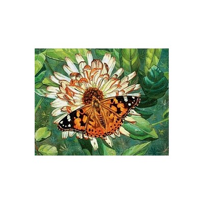 АЖ.1205 "Бабочка на цветке"