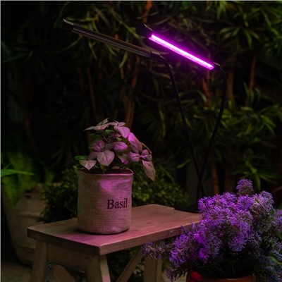 Светильник для растений светодиодный с таймером, на прищепке Uniel, 15 Вт, LED, IP40, 710х110х75 мм, цвет чёрный