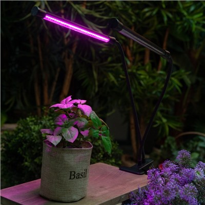 Светильник для растений светодиодный с таймером, на прищепке Uniel, 15 Вт, LED, IP40, 710х110х75 мм, цвет чёрный